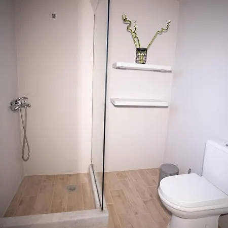 Stenorougi Charias *