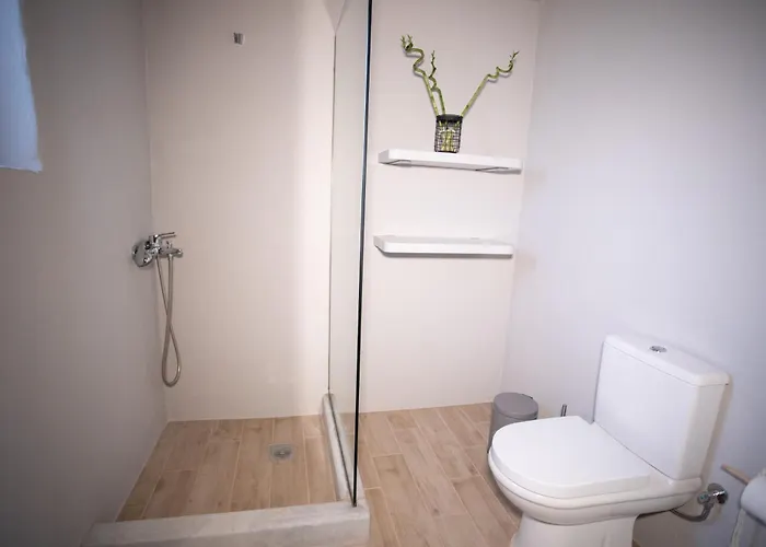 Stenorougi Charias *